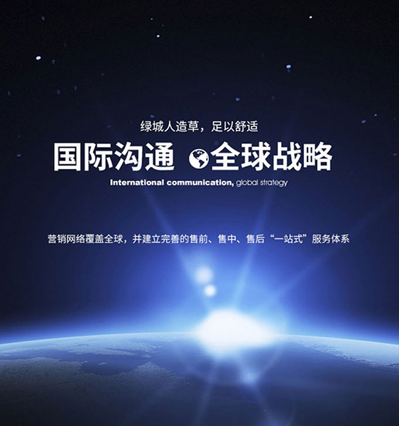 betway西汉姆联人造草坪一站式服务体系