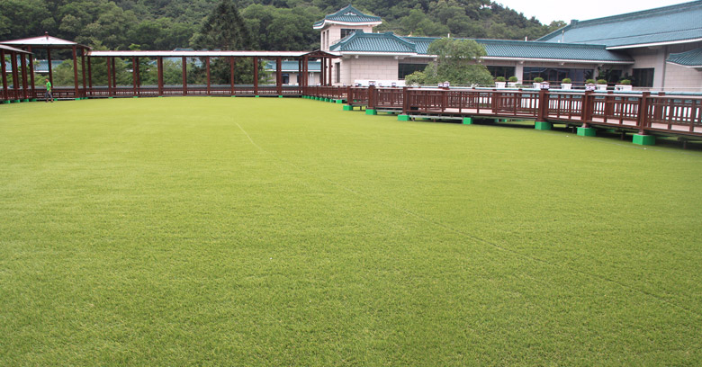 广州白云松园宾馆绿化装饰人造草 CGT绿城人造草成功与广州白云松园宾馆绿化项目结合,CGT绿城全心为您服务！